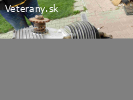 Motor Ariel F 500
